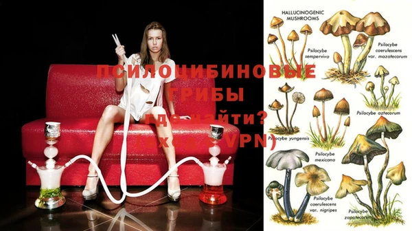 кокс Карпинск