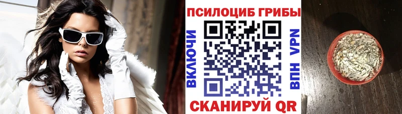 mega ТОР  Нижнеудинск  Галлюциногенные грибы Psilocybine cubensis  цена наркотик 