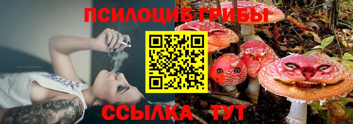 Галлюциногенные грибы Psilocybine cubensis  Вход с VPN  наркошоп  Нижнеудинск 