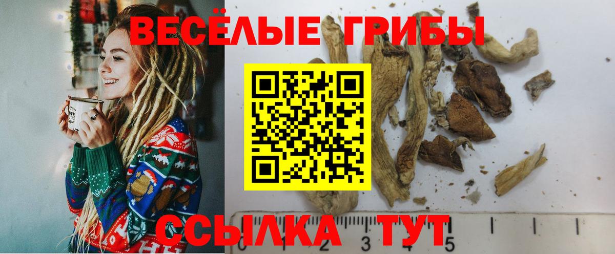 Мефедрон   Каннабис  Кокаин  Сколько стоит  LSD-25  Вход с VPN  ГАШ  Cocaine  Нижнеудинск  МЕТАМФЕТАМИН 